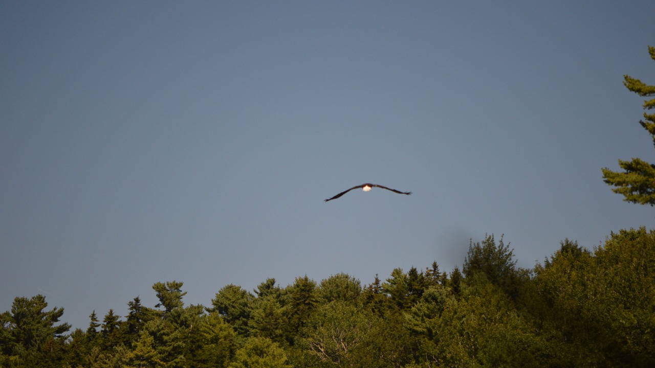 Photo of Others in Harpswell