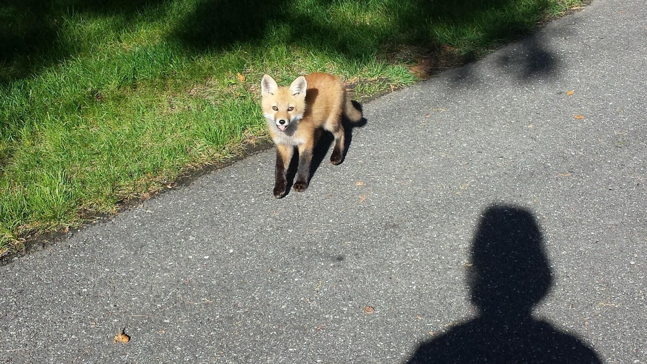 Photo of Others in Harpswell