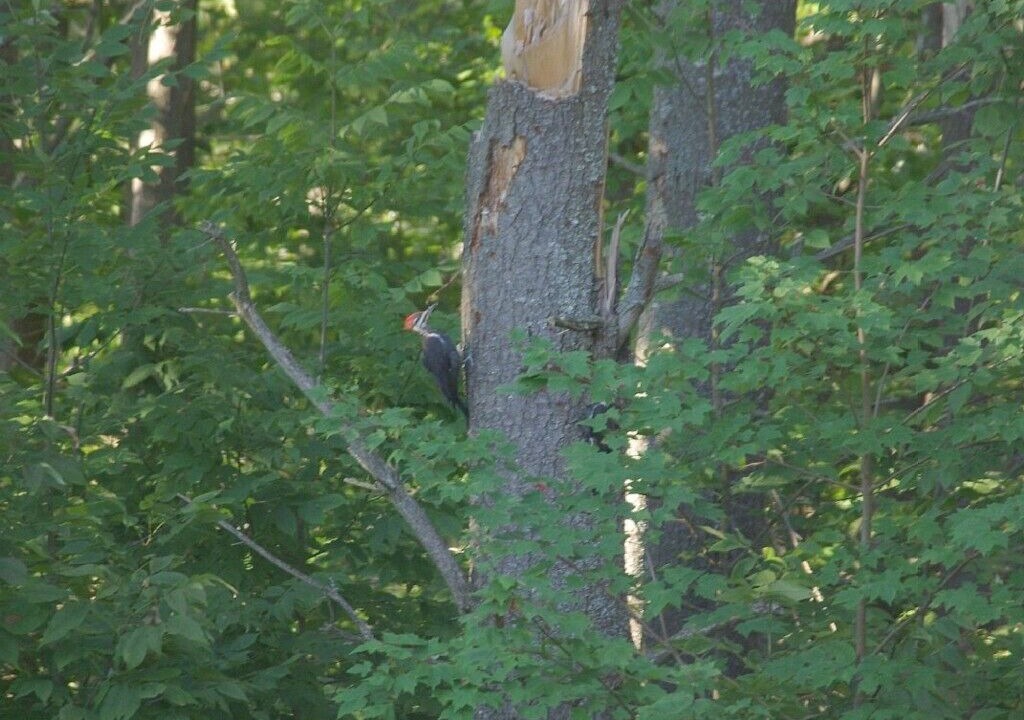 Photo of Others in Harpswell