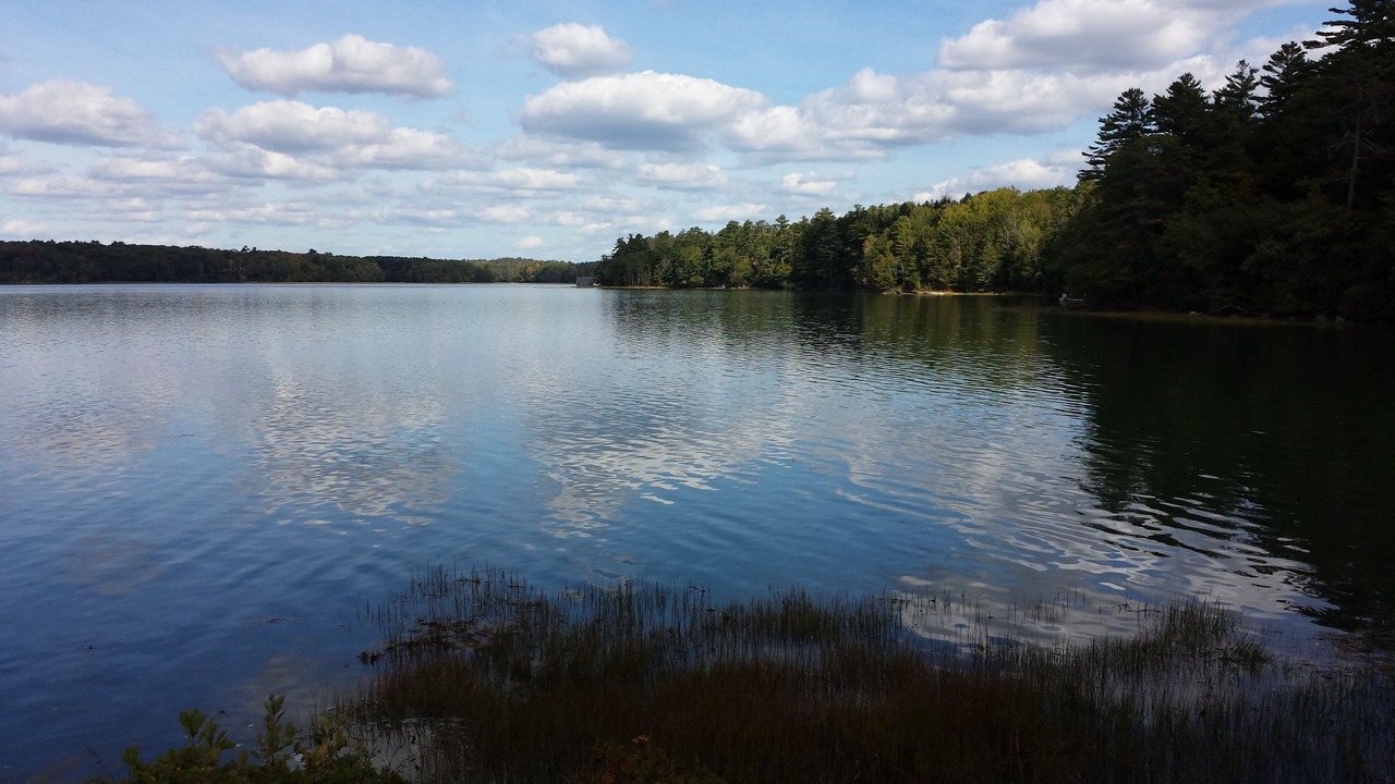 Photo of Others in Harpswell
