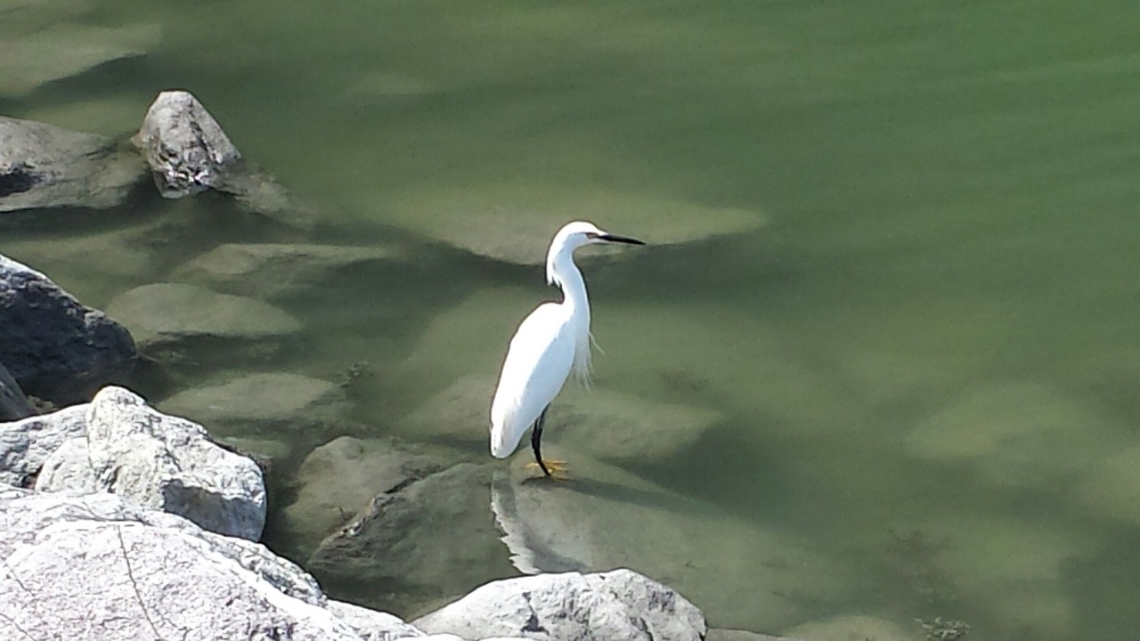 Photo of Others in Harpswell
