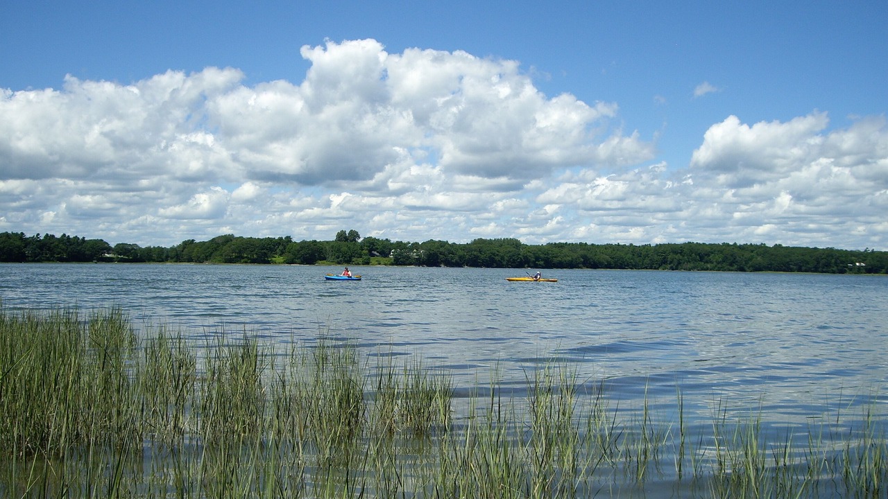 Photo of Others in Harpswell