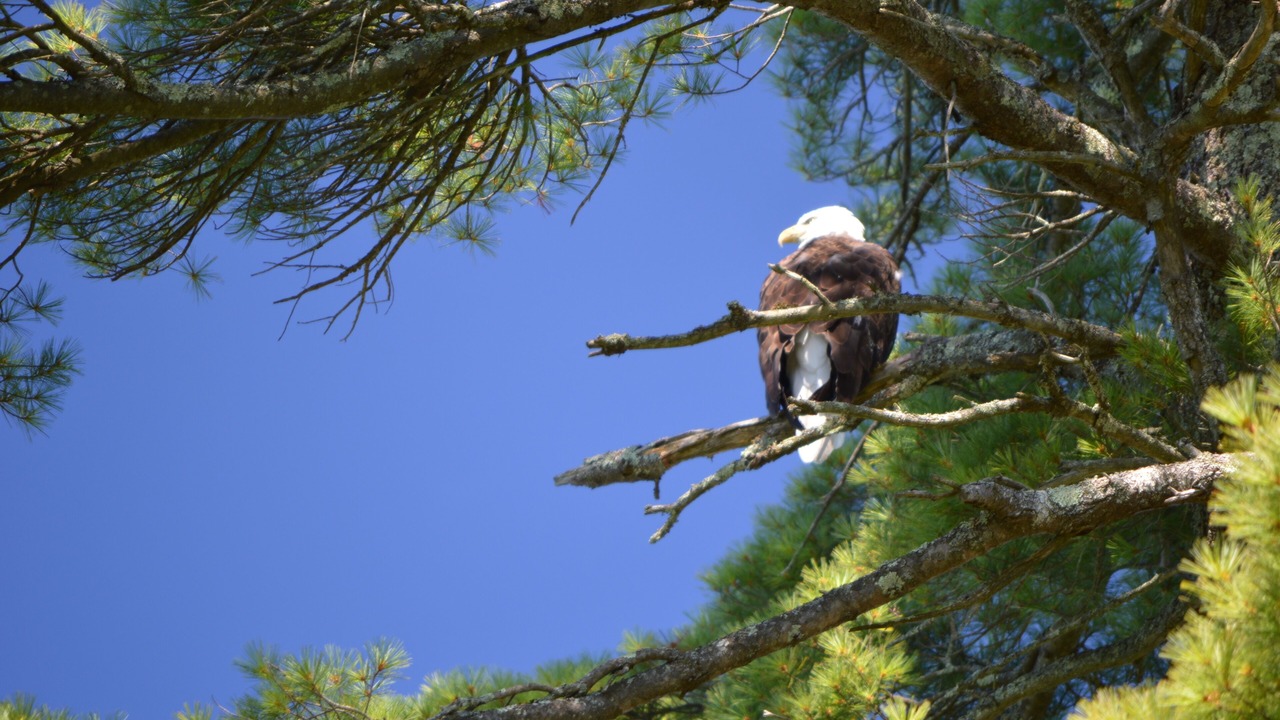 Photo of Others in Harpswell