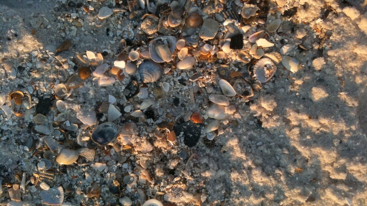 Photo of Others in Orange Beach