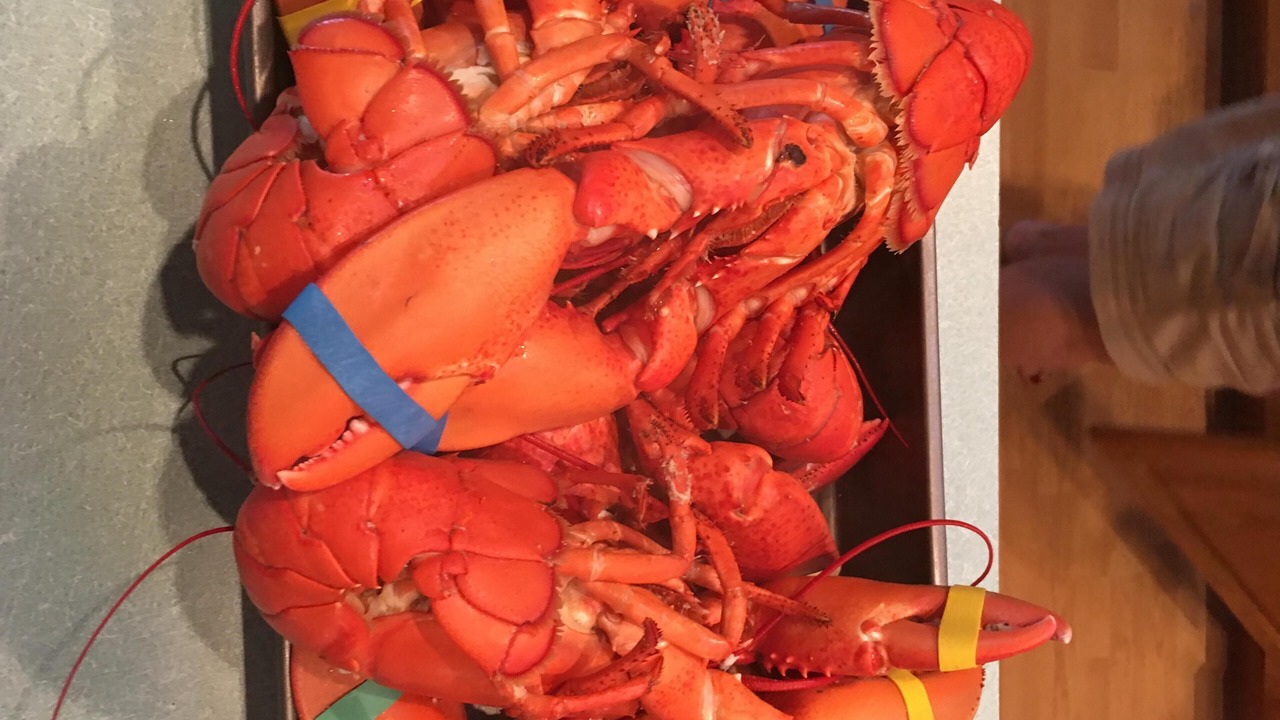 Photo of Others in Granite Point