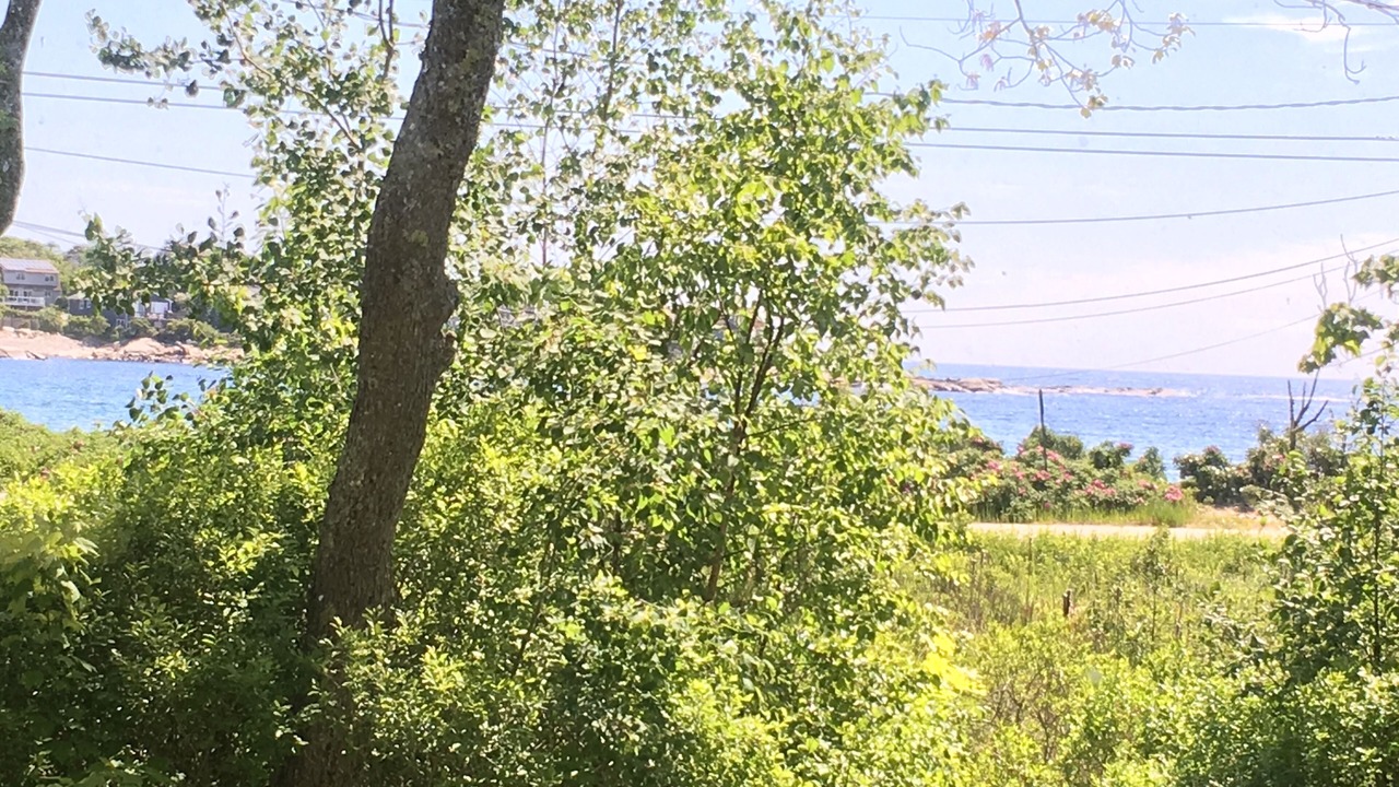 Photo of Others in Granite Point