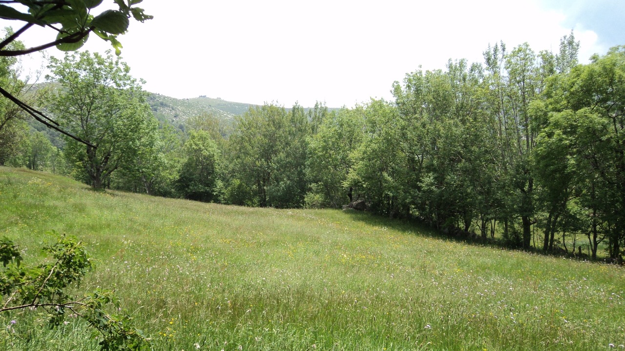 Photo of Outdoor in Pont-de-Montvert-Sud-Mont-Lozere