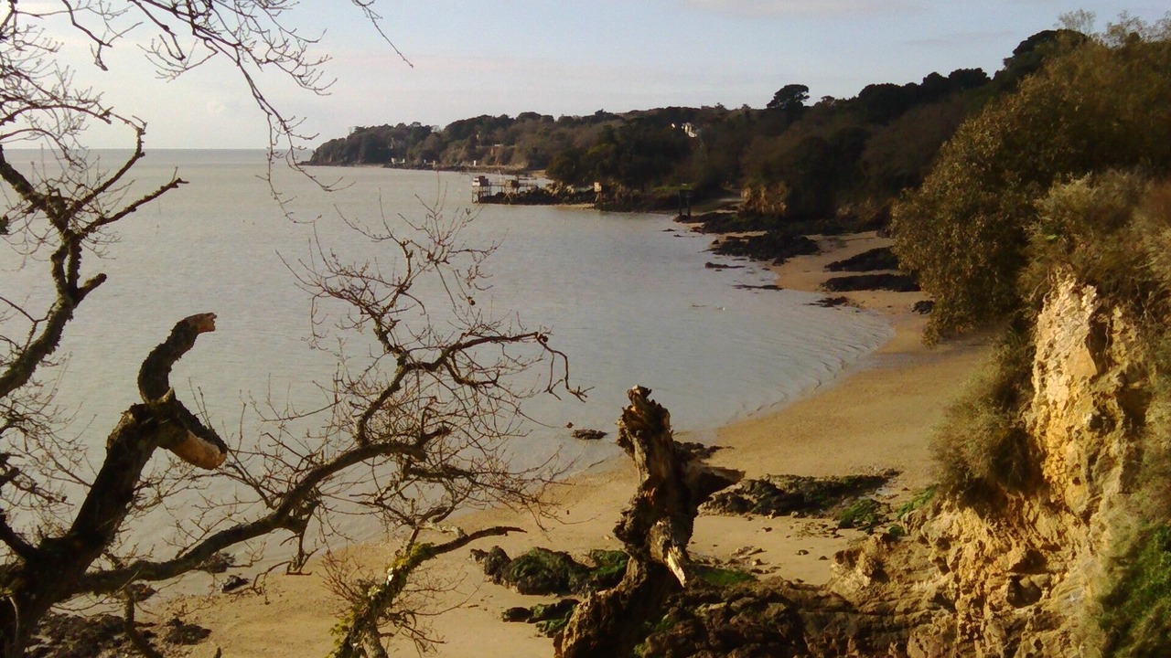 Photo of Others in Saint-Marc-sur-Mer