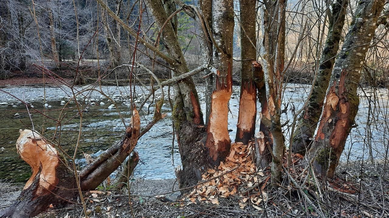 Photo of Others in Oberbalm