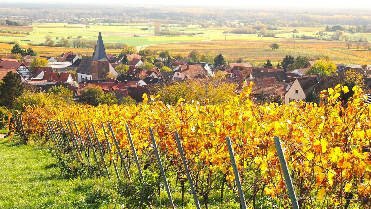 Photo of Outdoor in Wissembourg