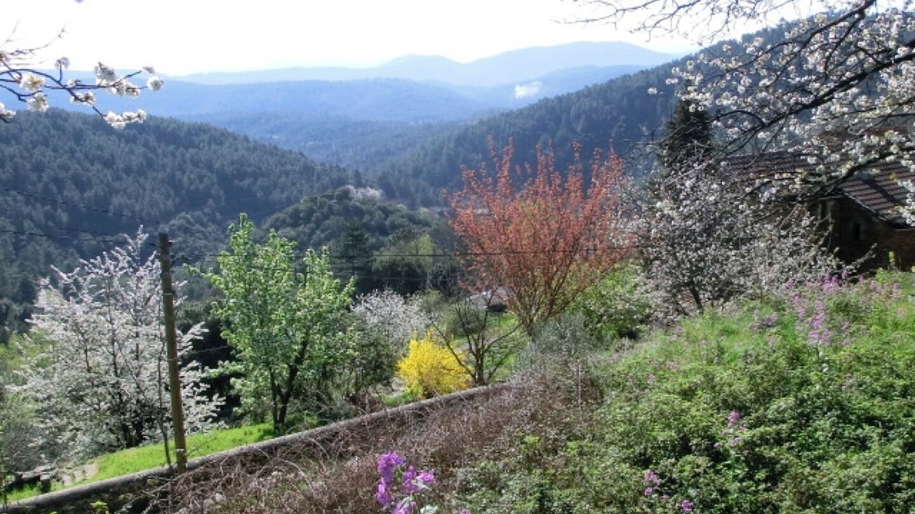 Photo of Outdoor in Malbosc