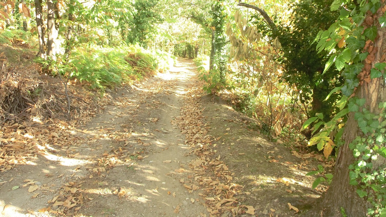 Photo of Outdoor in Malbosc