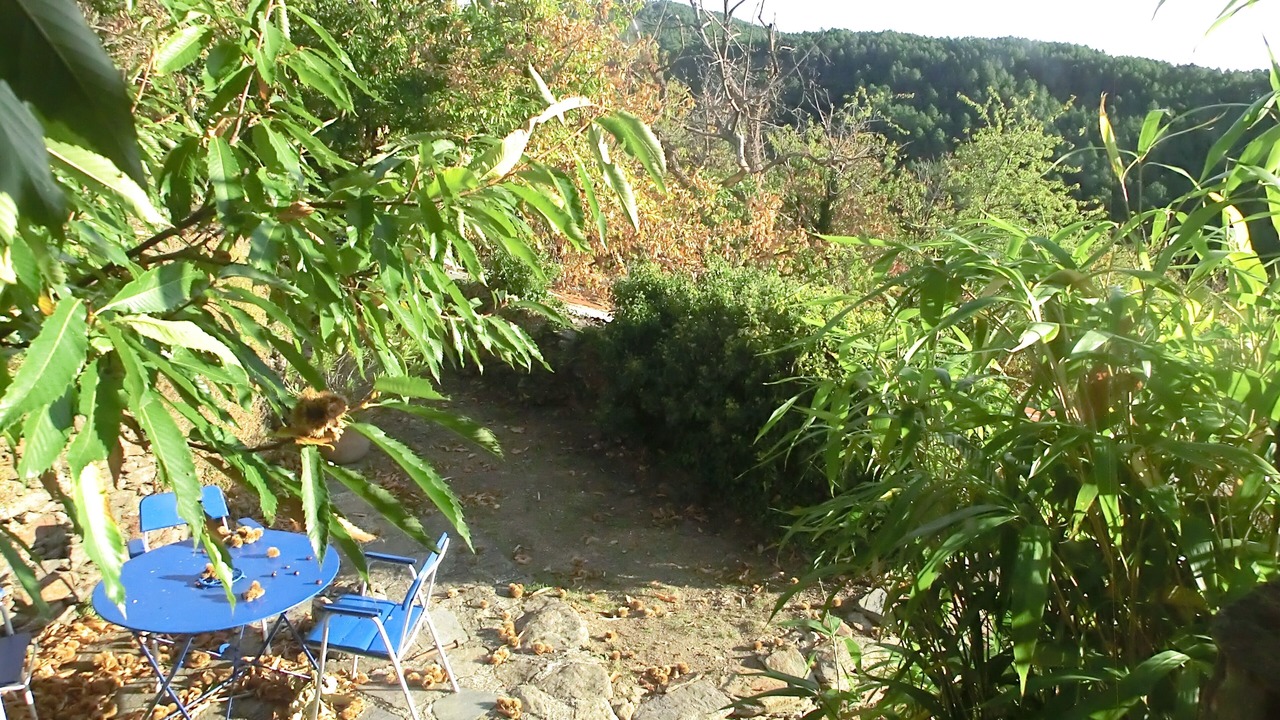 Photo of Outdoor in Malbosc