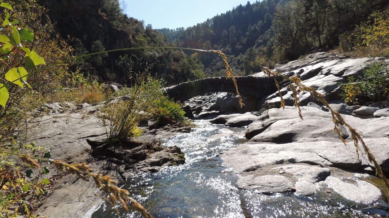 Photo of Outdoor in Malbosc