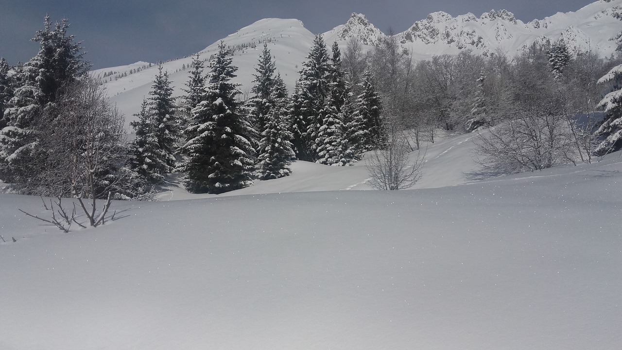 Photo of Others in Montgellafrey
