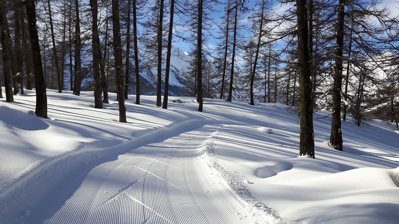 Photo of Others in Puy-Saint-Vincent