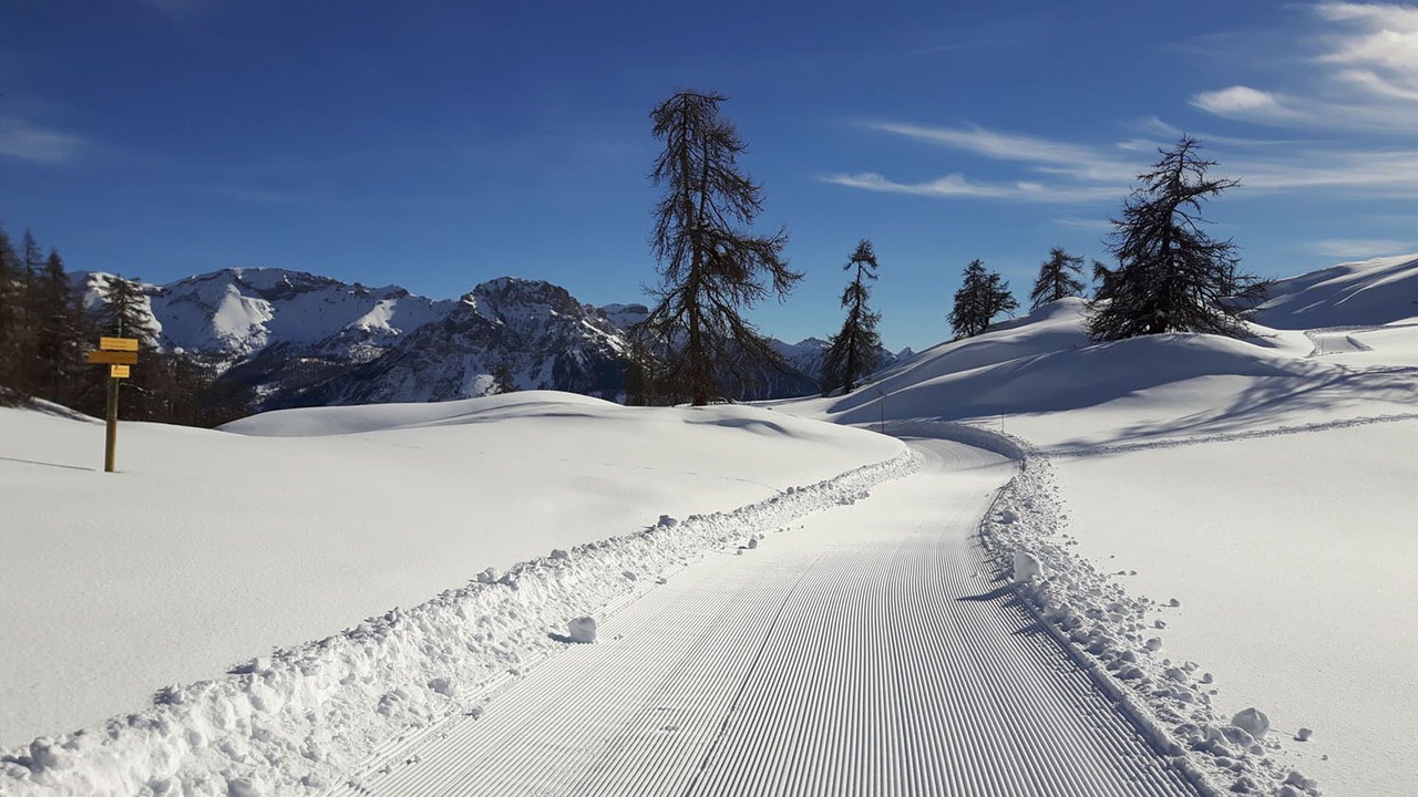 Photo of Others in Puy-Saint-Vincent