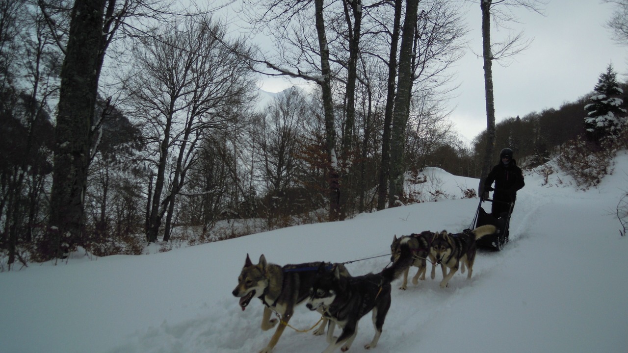 Photo of Others in Luz-Saint-Sauveur