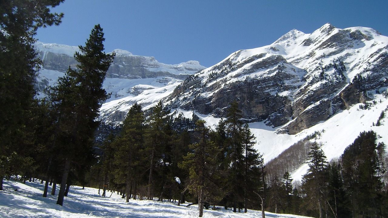 Photo of Others in Luz-Saint-Sauveur