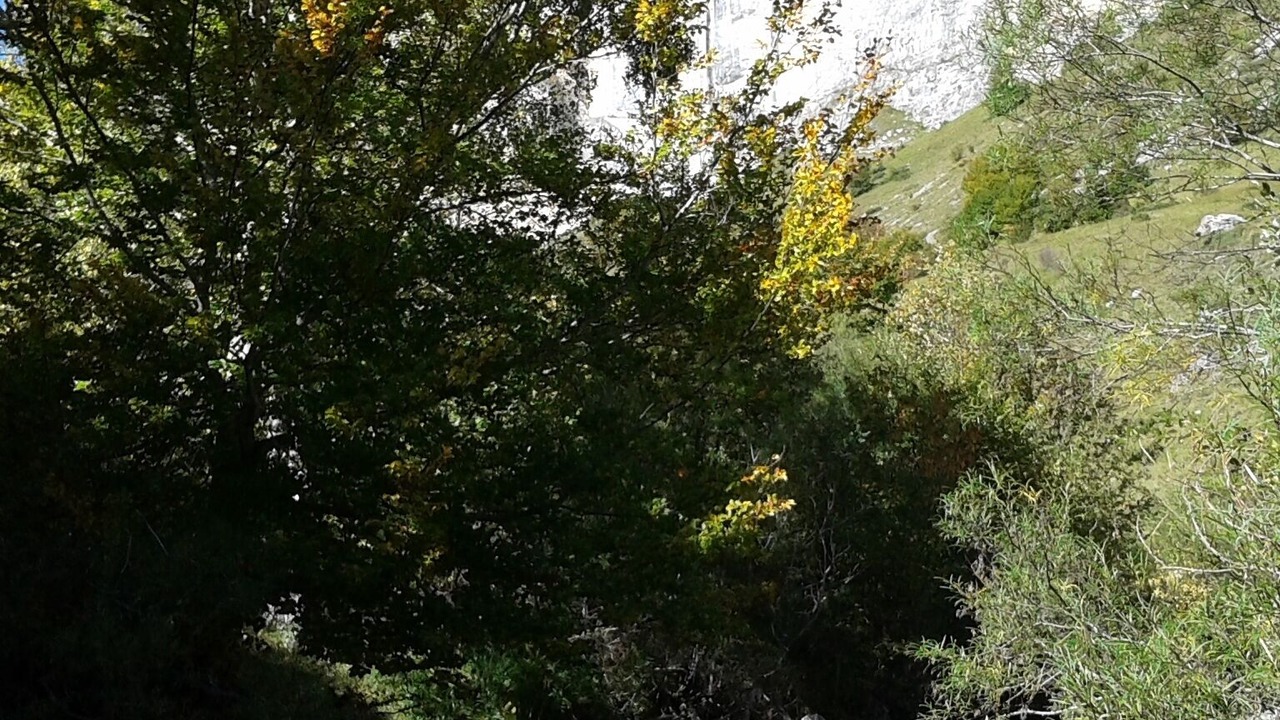 Photo of Outdoor in Luz-Saint-Sauveur