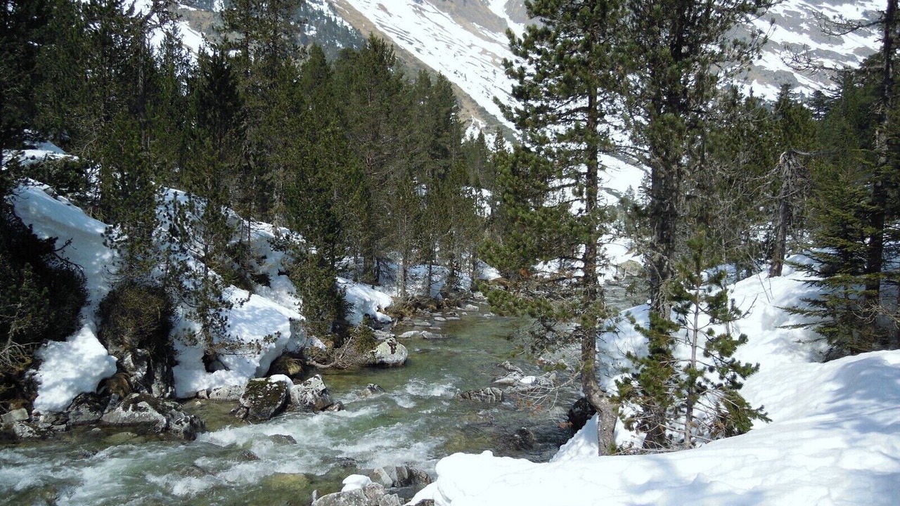Photo of Others in Luz-Saint-Sauveur