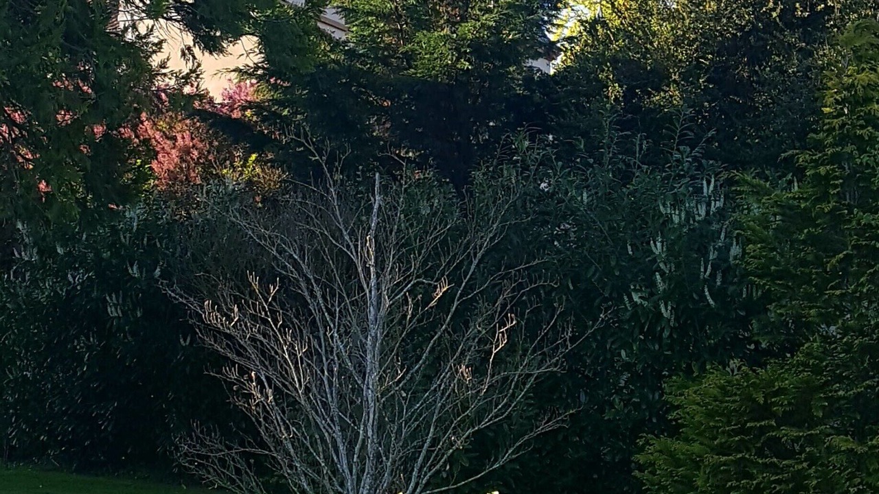 Photo of Outdoor in Chardonnay