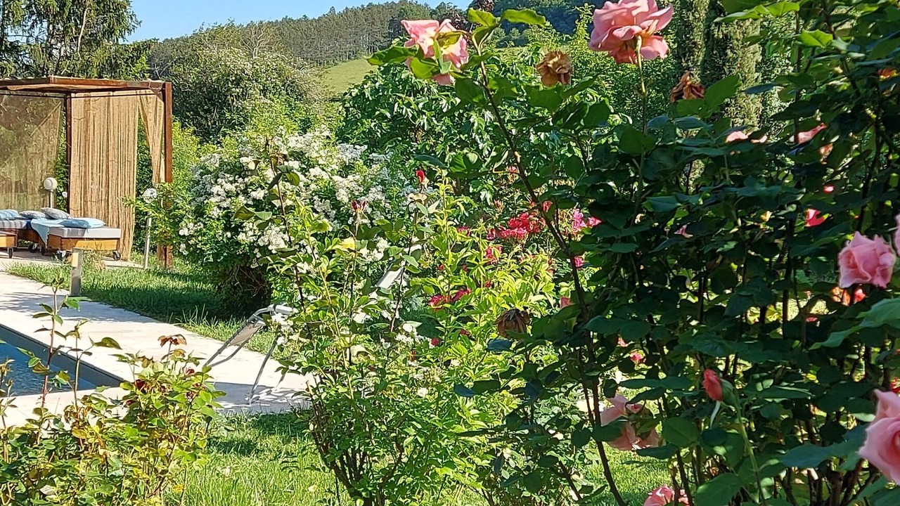 Photo of Outdoor in Chardonnay
