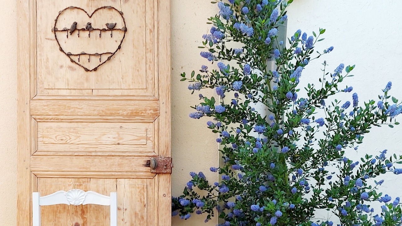 Photo of Outdoor in Chardonnay