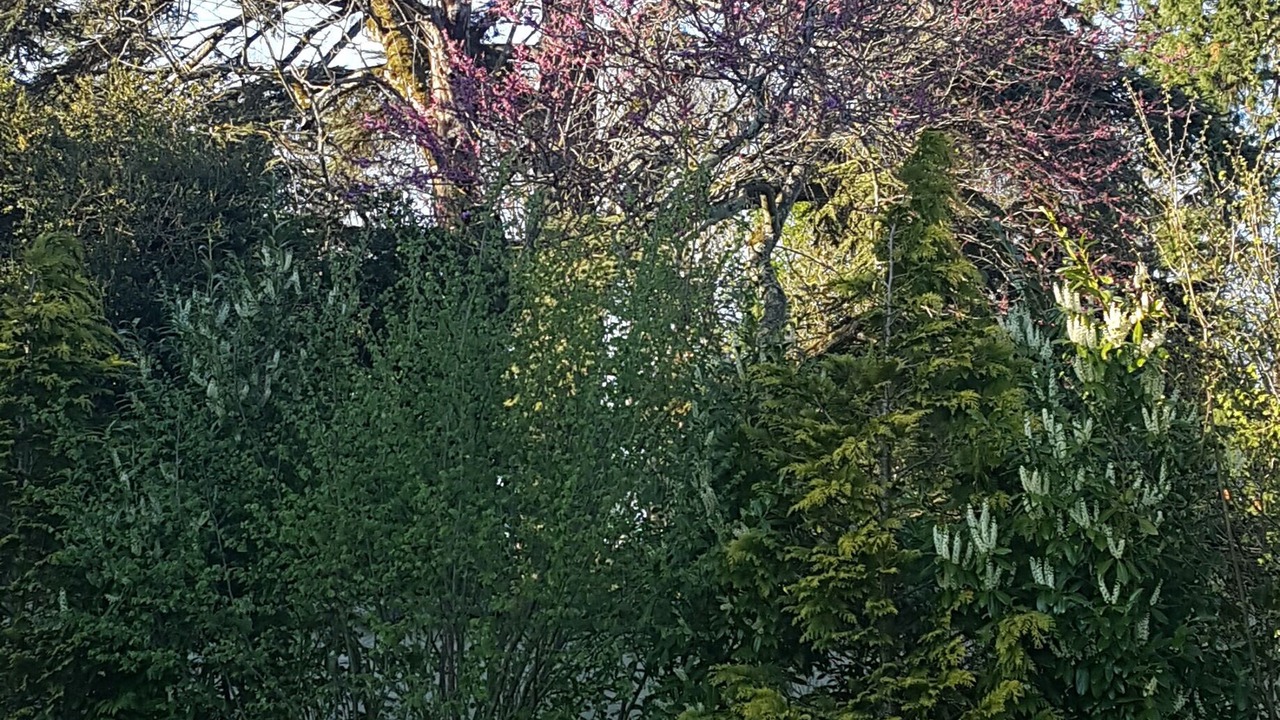 Photo of Outdoor in Chardonnay