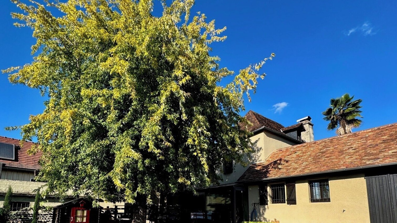 Photo of Outdoor in Lagor