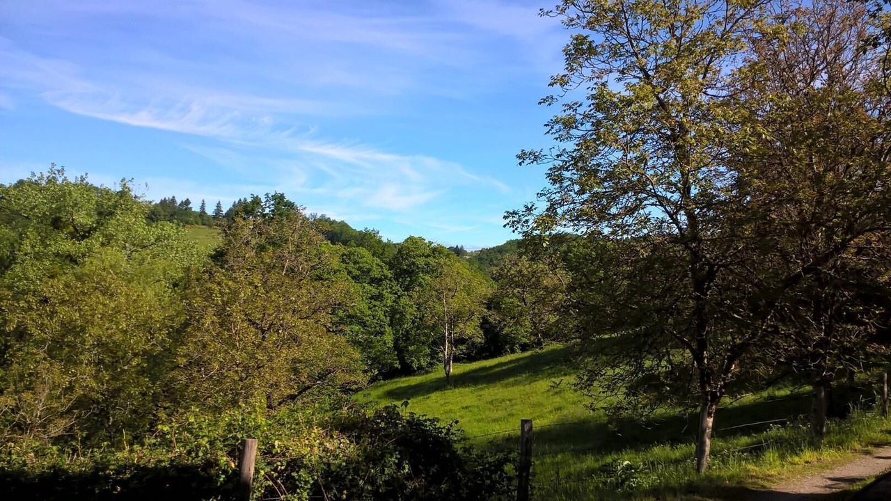 Photo of Outdoor in Senergues