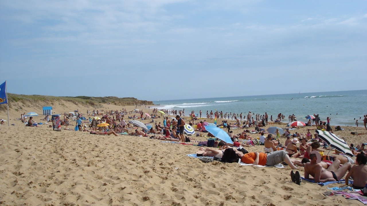 Photo of Others in Jard-sur-Mer