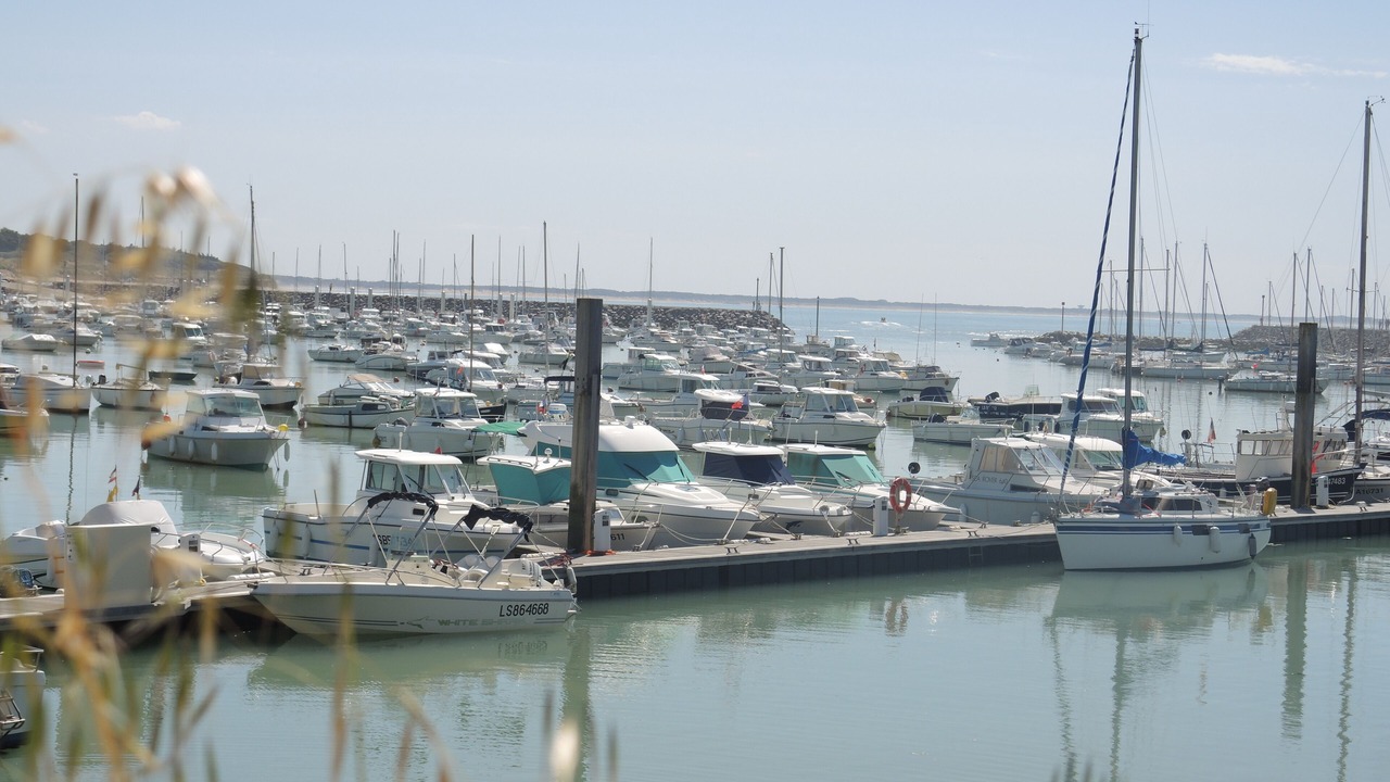 Photo of Others in Jard-sur-Mer