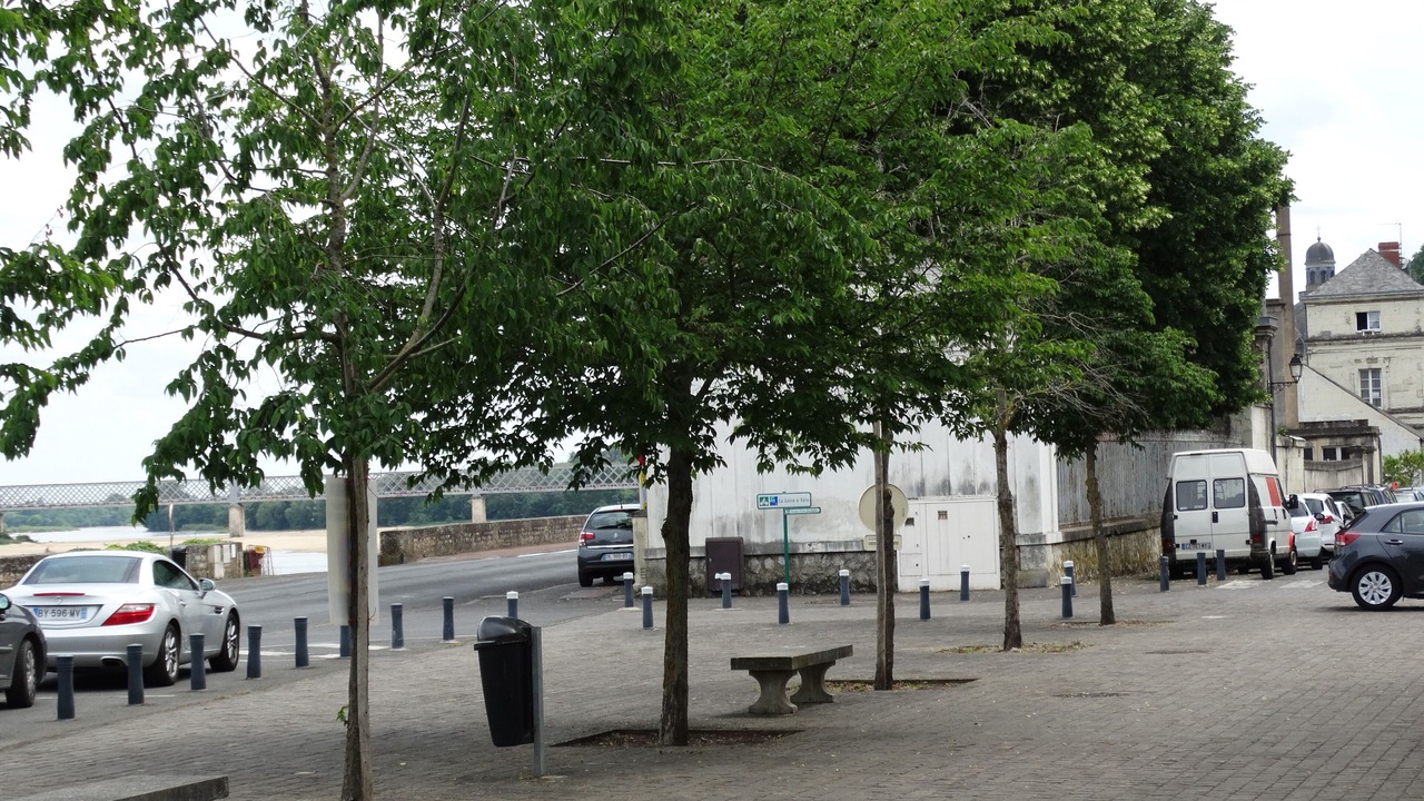 Photo of Others in Saumur