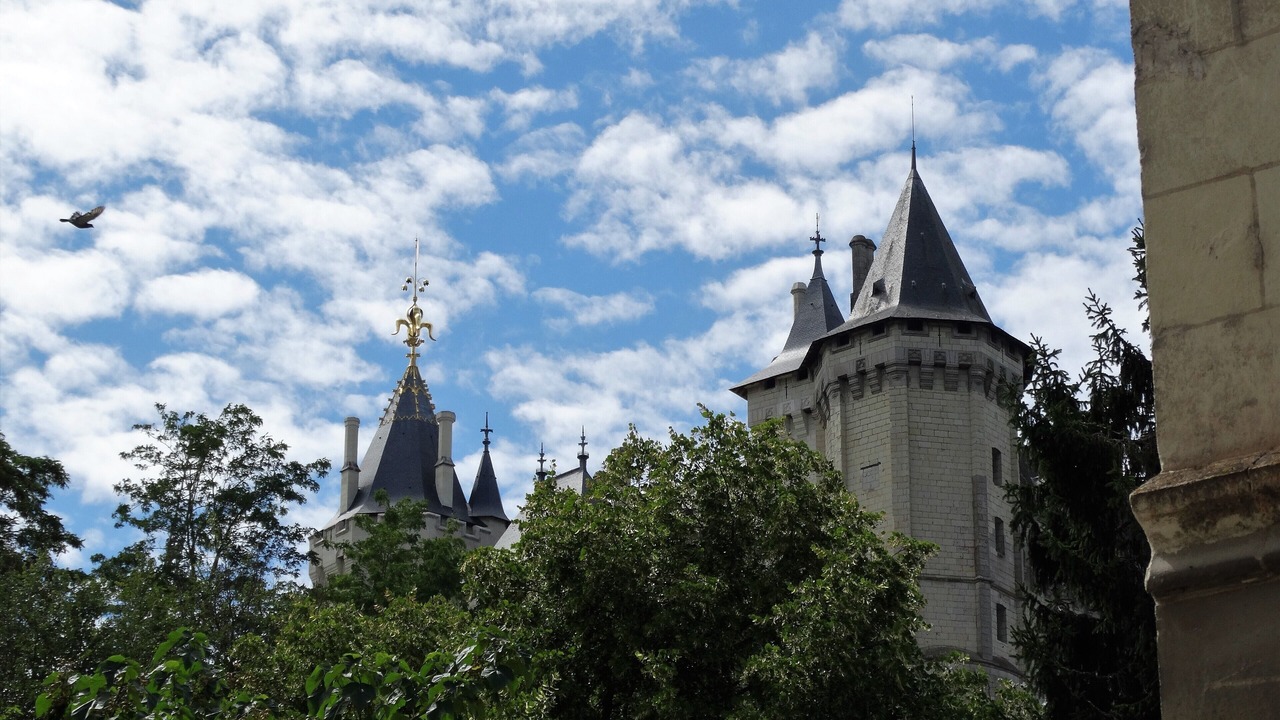 Photo of Others in Saumur