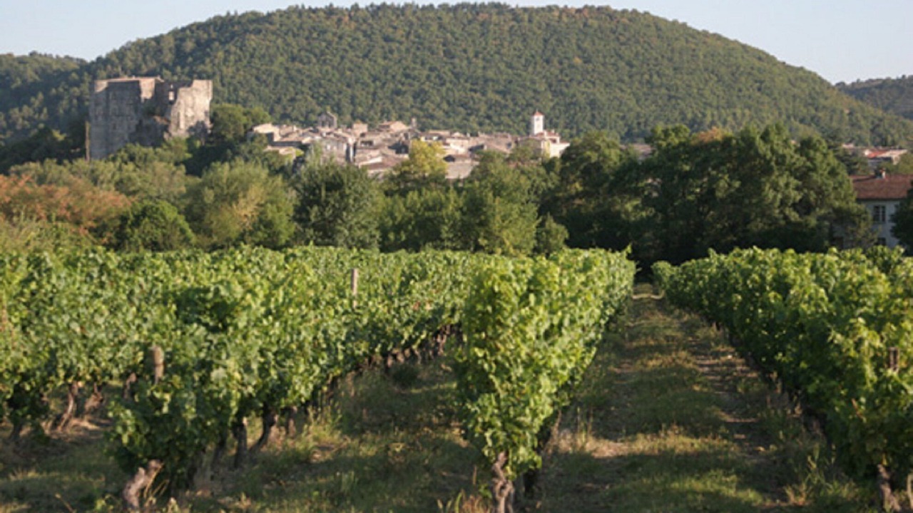 Photo of Outdoor in Saint Alban Auriolles
