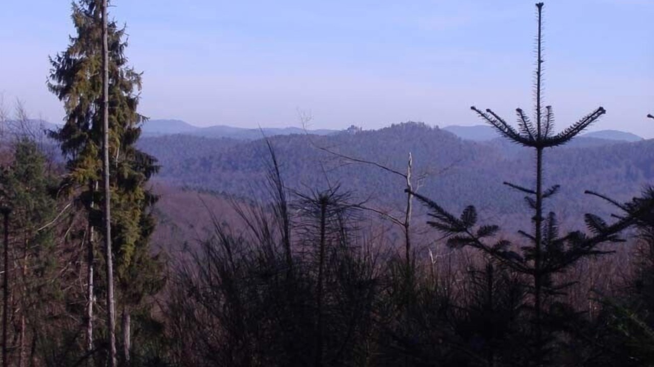 Photo of Others in Grendelbruch