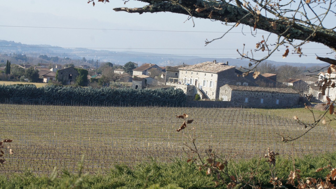 Photo of Others in Saint-Germain