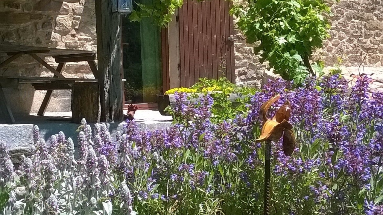 Photo of Outdoor in Castellet-les-Sausses