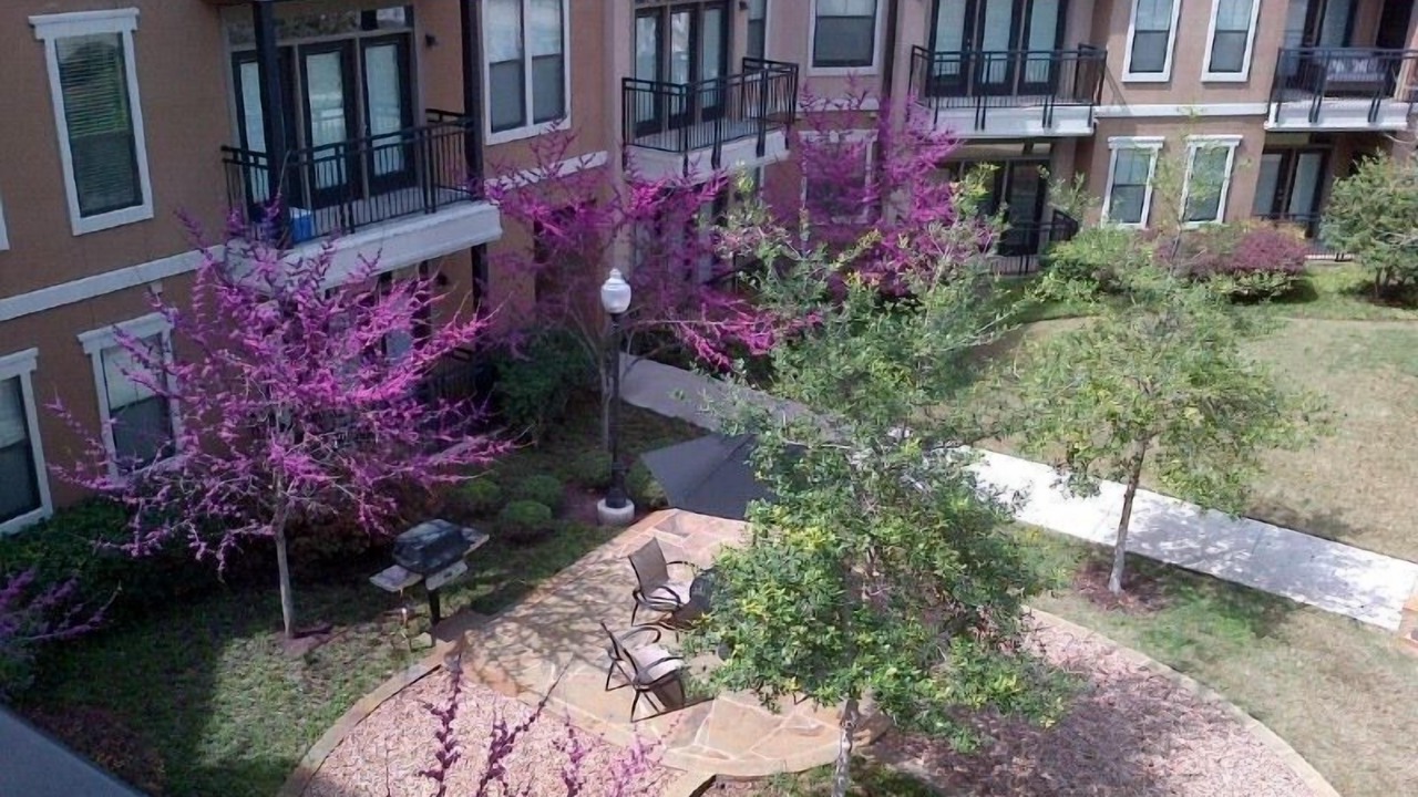 Photo of Outdoor in Downtown Fort Worth