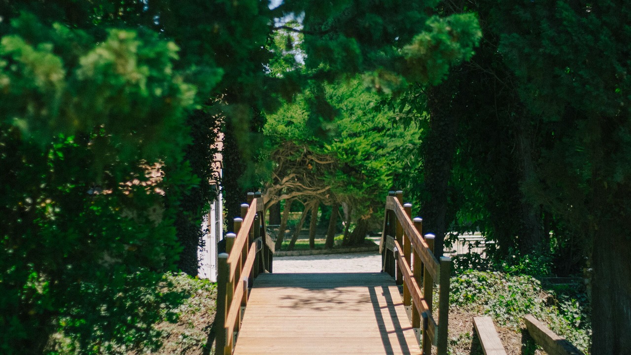 Photo of Outdoor in Arles