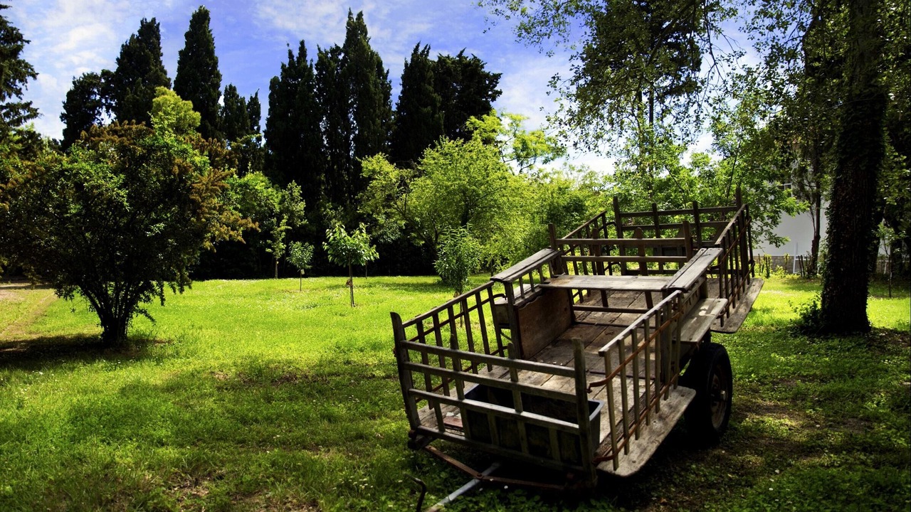 Photo of Outdoor in Arles