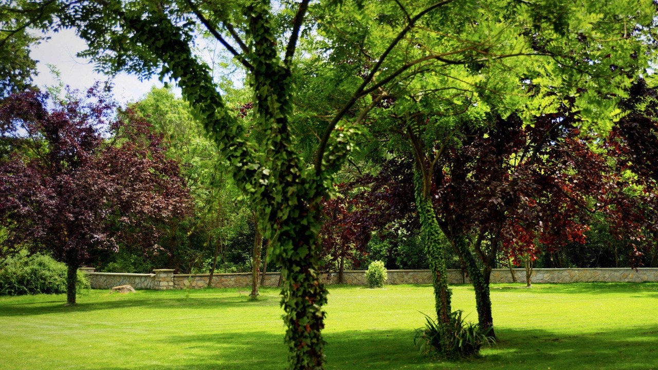 Photo of Outdoor in Arles
