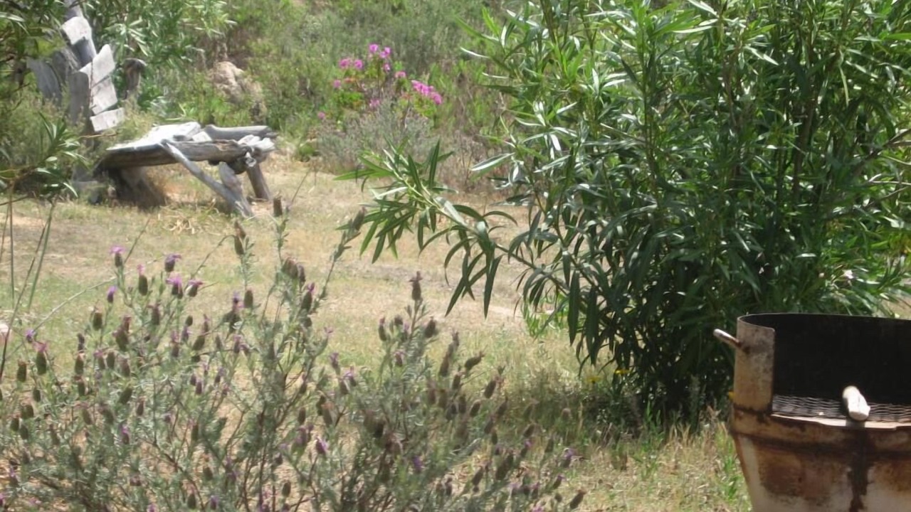 Photo of Outdoor in Tizzano