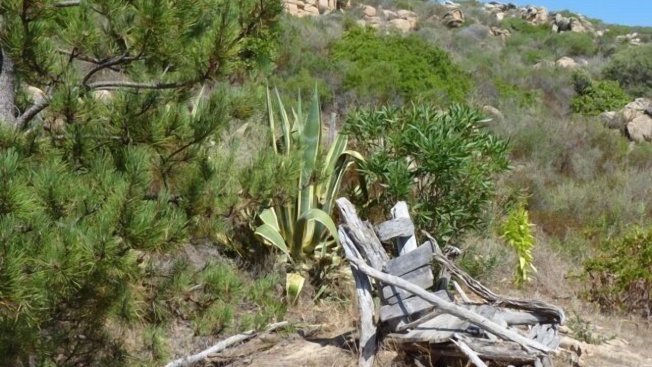 Photo of Outdoor in Tizzano