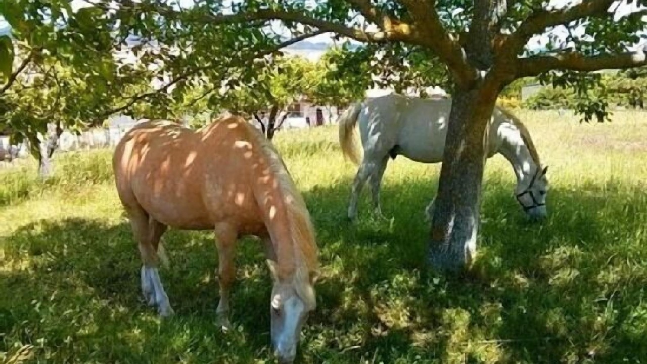 Photo of Outdoor in Santa Cilia