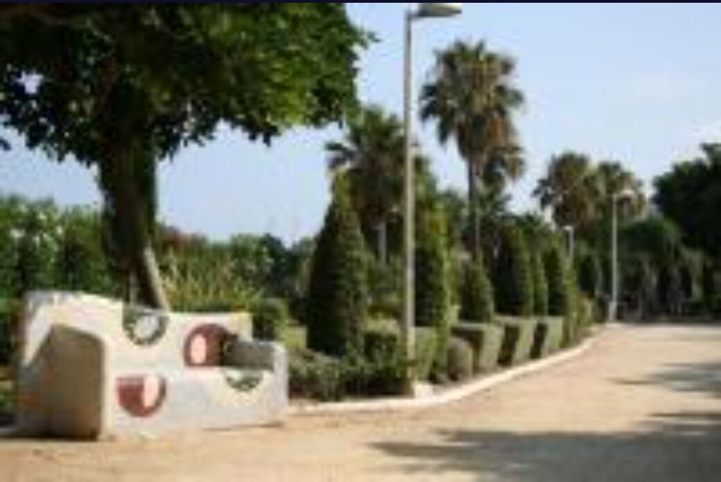 Photo of Outdoor in Marina d'Or