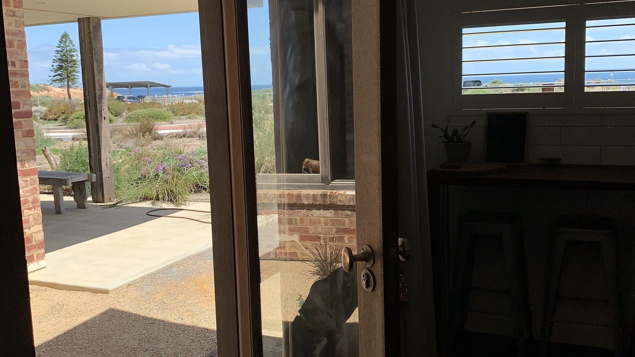 Photo of Others in Port Noarlunga South