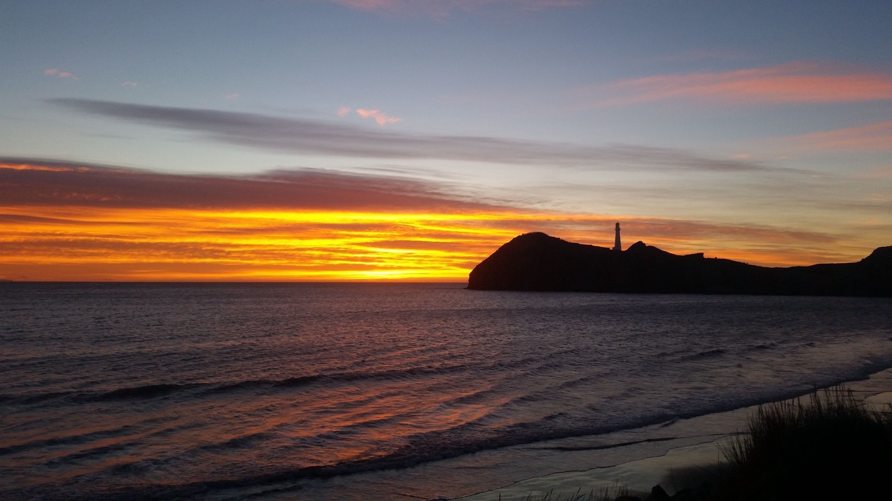 Photo of Others in Castlepoint