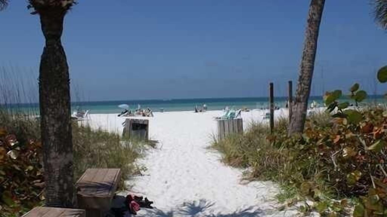 Photo of Others in Siesta Key